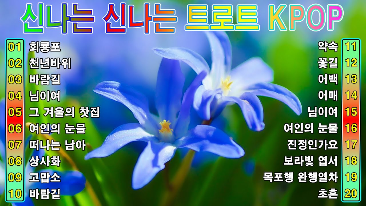 [ TOP ] 신나는 신나는 트로트 KPOP (TROT) PLAYLIST 📀 ( 꽃길.상사화.여인의 눈물.회룡포.바람길...) 