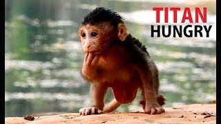 Lonely Hungry An Dry Face Far Mom Wait Right Moment Back To Mom Beg Milk.