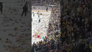 Providence bruins teddy bear toss #phonk #amazingphonk #plush #hockey key