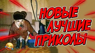 😂Я РЖАЛ ДО СЛЕЗ | ПРИКОЛЫ ЗА МАЙ | FUNNY MOMENTS 2024 | 13 МИНУТ СМЕХА! | #415