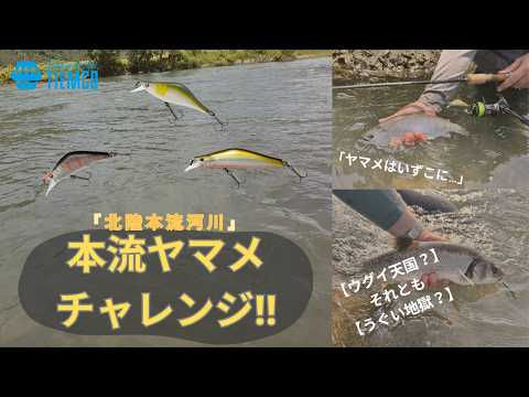 【トラウトルアー】北陸河川で本流ヤマメチャレンジ‼
