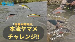 トラウトルアー】北陸河川で本流ヤマメチャレンジ‼ - YouTube
