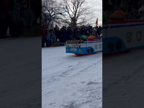 Art Sled Rally       