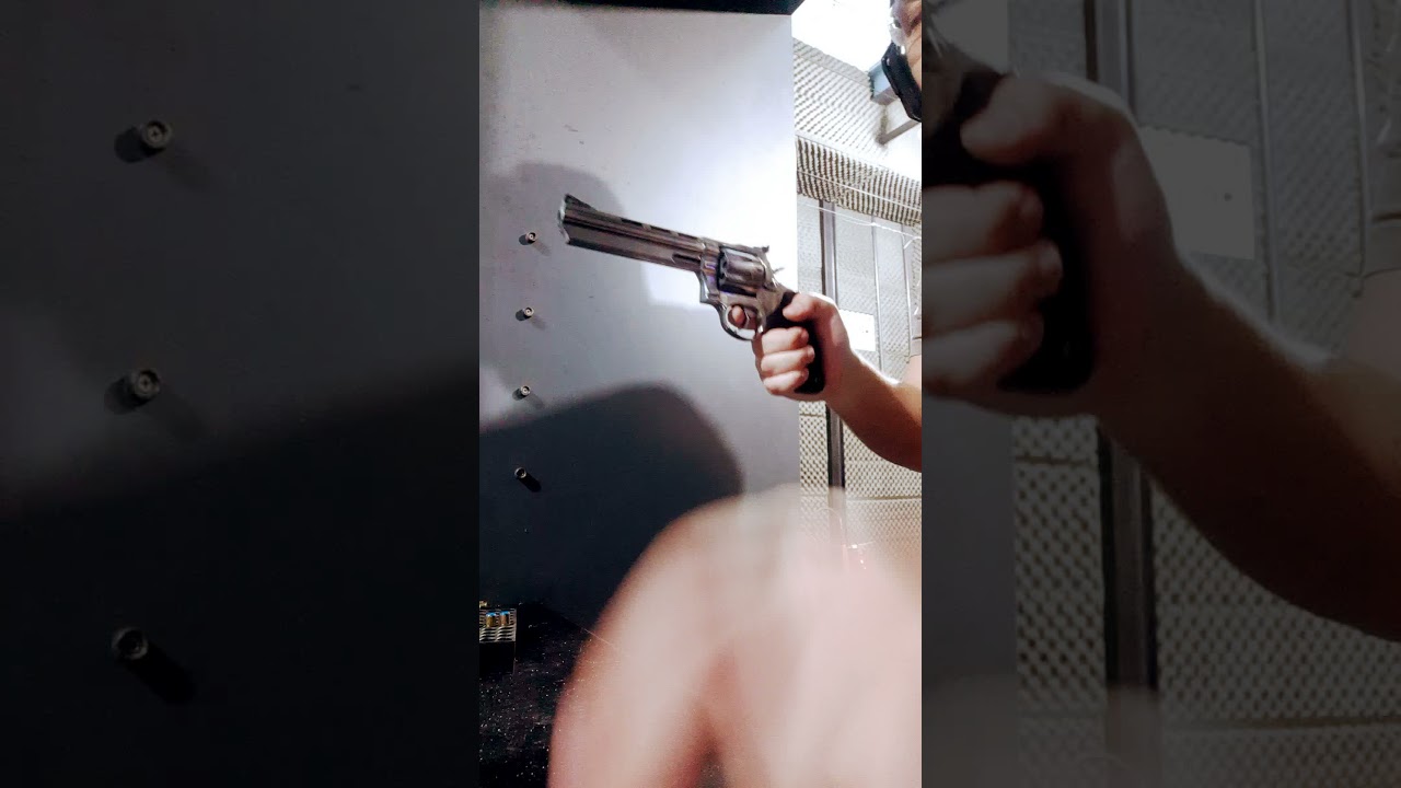 Taurus 608 .357 MAGNUM