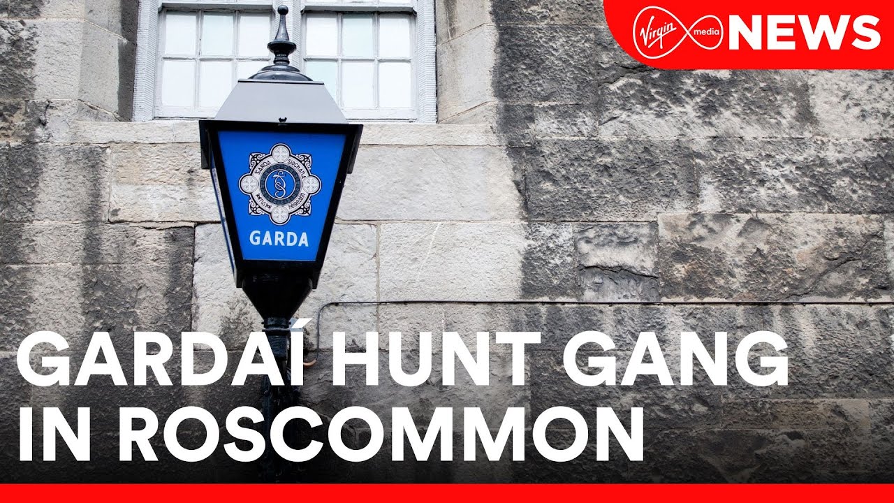 Gardaí are hunting a gang who put a woman in her 90s and her sons through a terrifying ordeal
