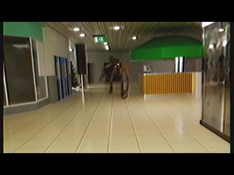 The Dead Mall (Found Footage)