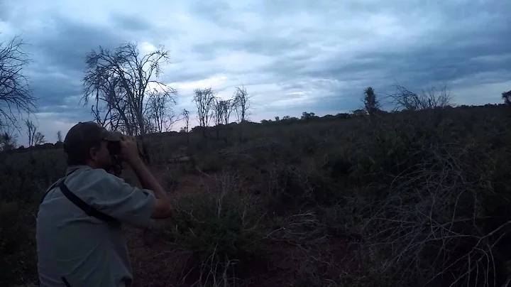 Gemsbok Hunting in South Africa