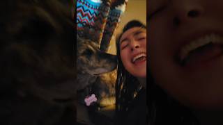 Had to see how my reading buddy would react to this trend 🤭 #bookbites #readingbuddy #dogs #bookish
