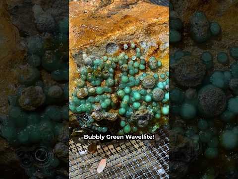 Finding Bubbly Green Wavellite