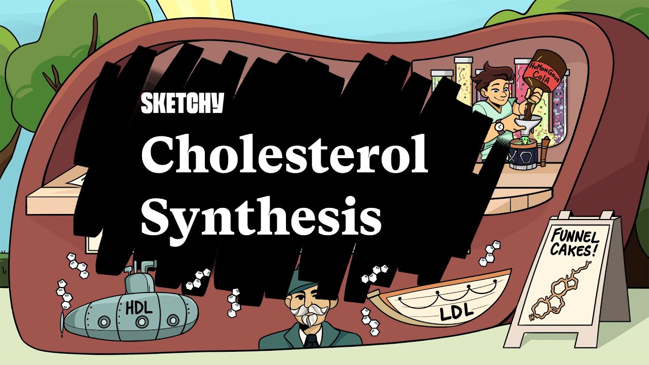 Cholesterol Synthesis | Biochemistry Review (Full Lesson) | Sketchy Medical | USMLE Step 1