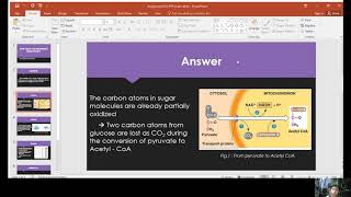 Cell Biology Assignment