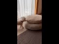 意地でもクッションの上で寝たい犬の行動とは? #shorts