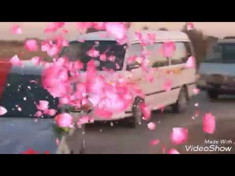 عرس عراقي على شيلات خليجية 