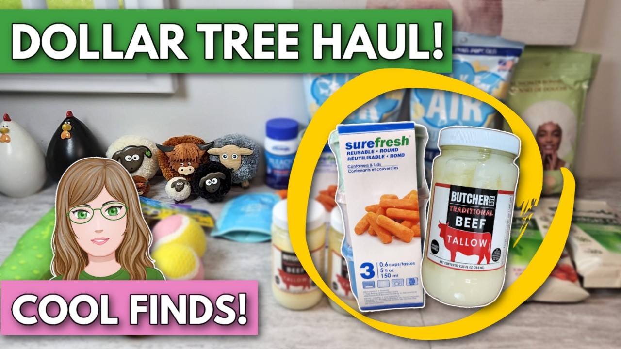 WOW! New DOLLAR TREE Haul and Walkthrough in Pennsylvania Stores! March 5, 2026