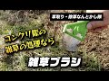 【草刈り】コンクリの隙間の雑草、これで削ってます｜富田刃物「雑草ブラシ」が狭い場所で超便利！