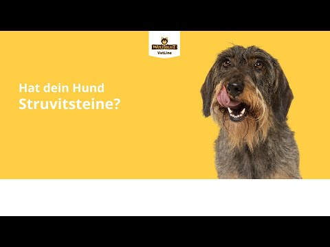 Alleinfuttermittel fr Hunde mit Struvitsteine - WOLFSBLUT VetLine - YouTube