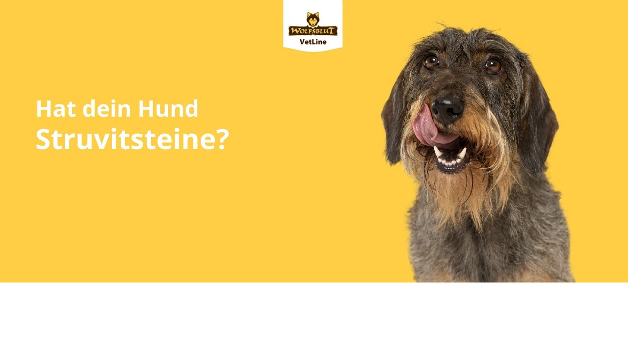 Alleinfuttermittel fr Hunde mit Struvitsteine - WOLFSBLUT VetLine