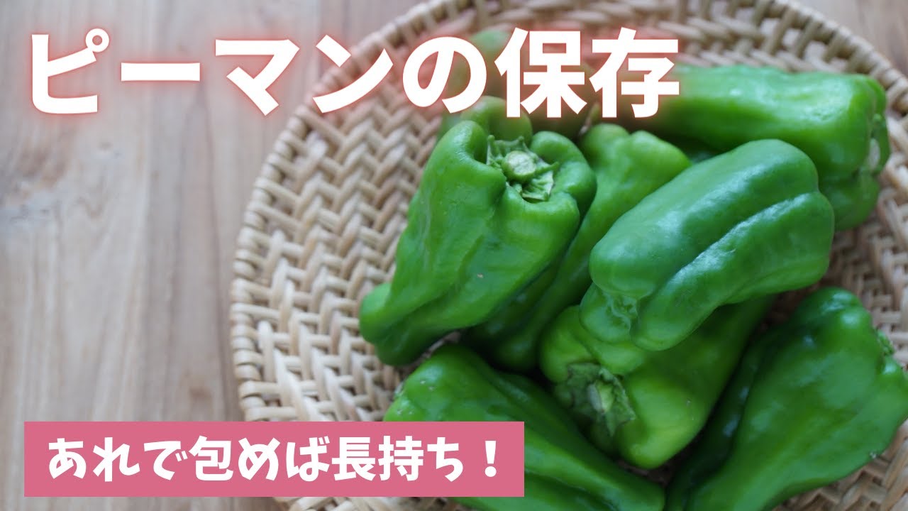 【ピーマンの保存】あれで包むと長持ちします！（島本美由紀の野菜保存から食品ロス削減）