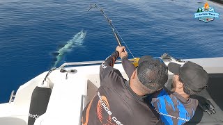 DEV BALIK GELDİ, EKİP DAĞILDI!! 100 KİLOLUK ORKİNOS İLE ZORLU MÜCADELE!! Catch Giant Bluefin Tuna!