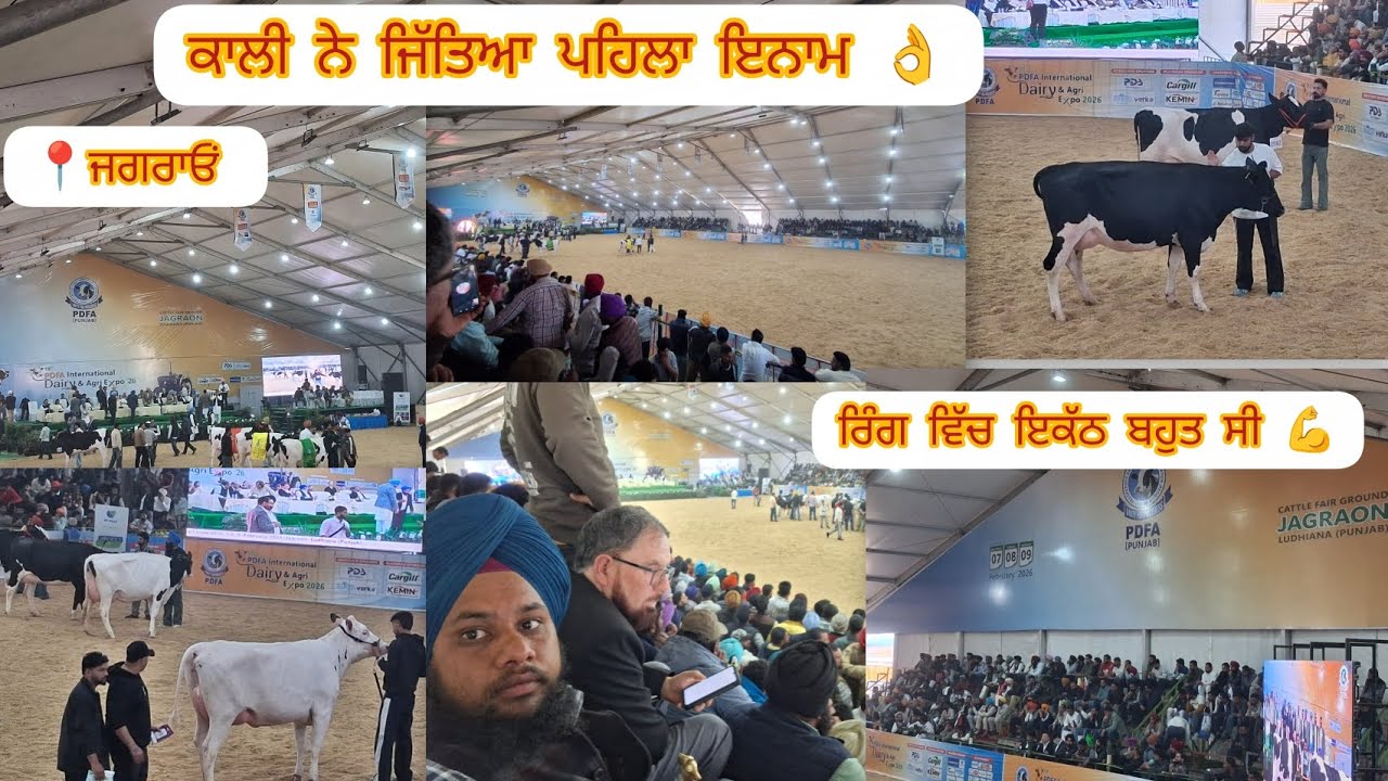ਏਸ਼ੀਆ ਦਾ ਸਭ ਤੋਂ ਵੱਡਾ cattle fair 👌 ਆਜੋ ਦੇਖੀਏ ਵੀਡੀਓ 👍 #viral #vlogs #farming #jagraonmandi #february 