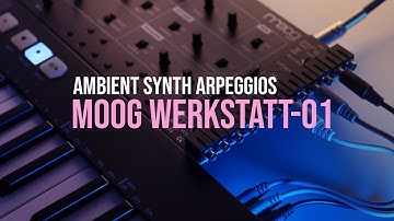 Moog Werkstatt-01 - Ambient Synthesizer Jam (Arpeggio Madness)
