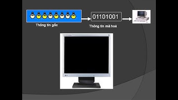 Tin học 10 - Bài 2: Thông tin và dữ liệu (Tiết 1)