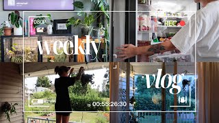 patio makeover, new fridge, & healthy eatin' 🌱  weekly vlog 🫶