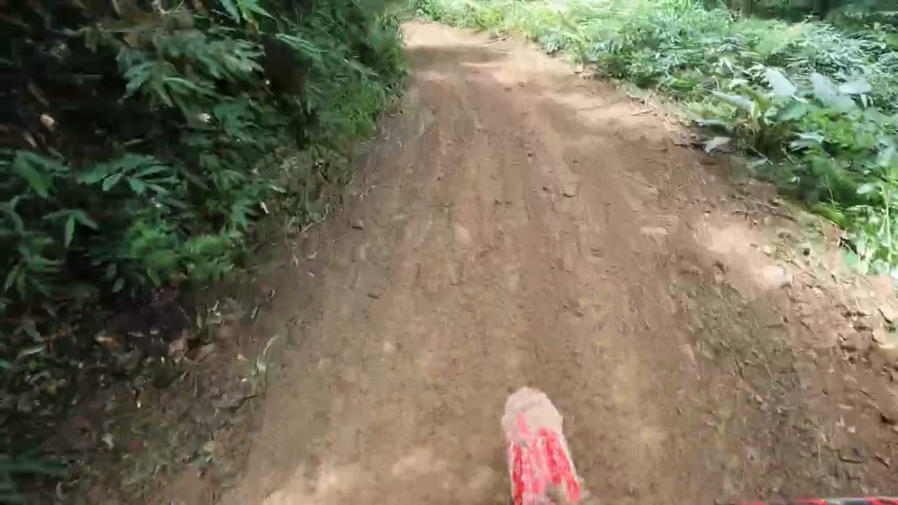 12ª Trilha Ecológica   Witmarsum   SC 08 02 2026 parte 13