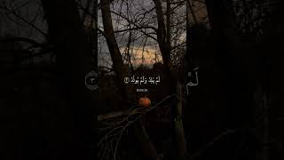 Beautiful Recitation Of Suhrah Ikhlaas.