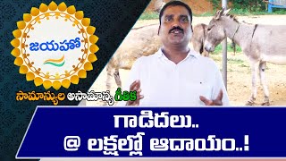 Inspiring Story of Raju Joseph- Innovative businessman sets up Donkey Farming, earning lakhs monthly