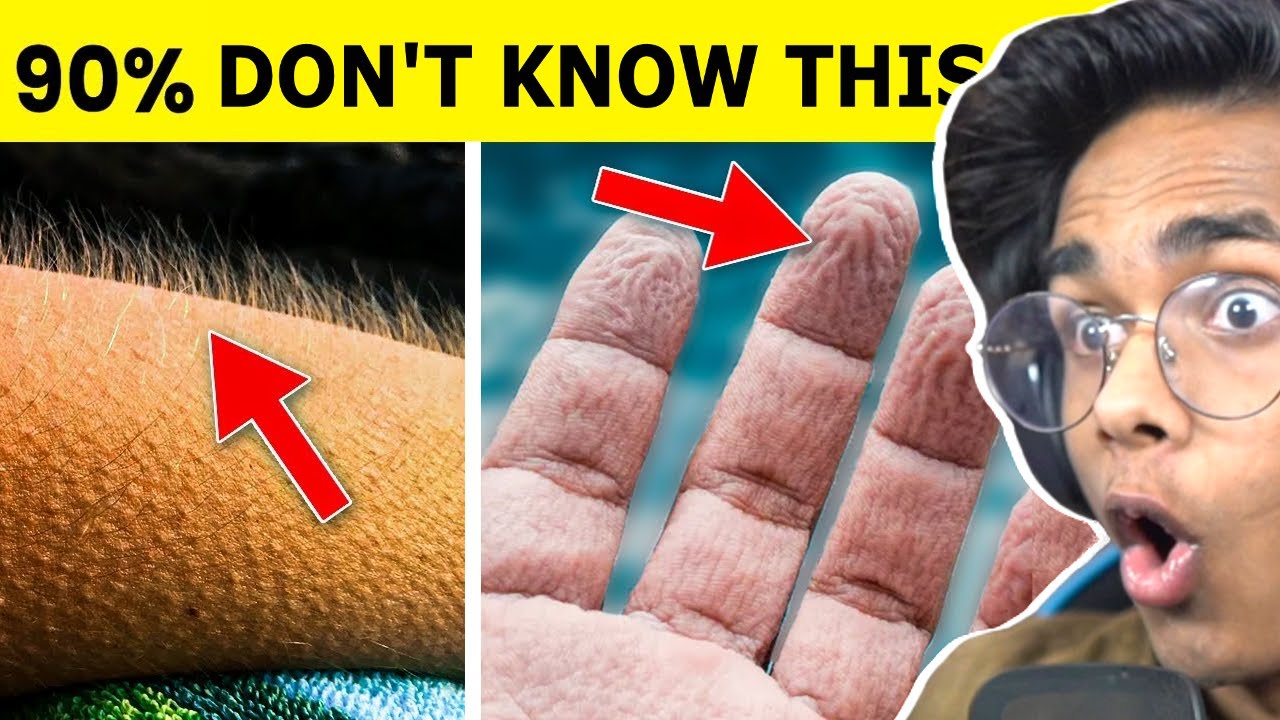 Amazing Facts About the Human Body - YouTube