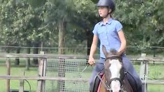 Pallas Bessie Warrior - American Bashkir Curly Horse