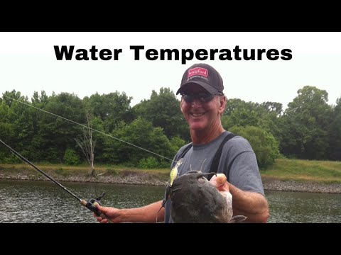How Water Temperature Affects Fish