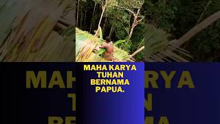 Tangguhnya suku Korowai di Papua.