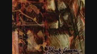 Black Leaves - Knight of Eternity