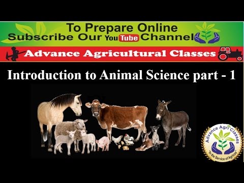 Introduction To Animal Science Part - 1 (Hindi/English) Agricultural Field Officer IBPS