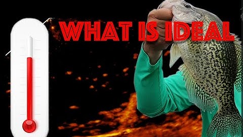 Crappie Bite (and Water Temperature)