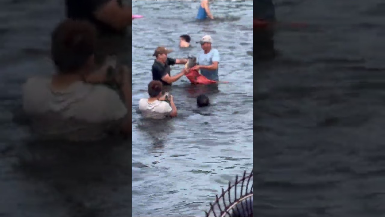 Rural Fish Festival – A Glimpse of Village Life 