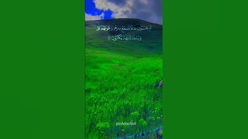سورة الزخرف القارئ #خالد_الجليل #فلسطين#السعودية#الجزائر#المغرب#مصر#تونس#ليبيا#موريتانيا#اكسبلور#عرب