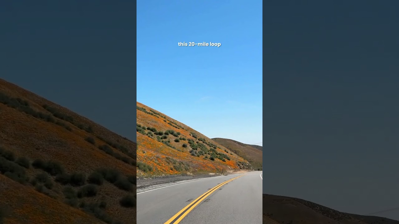 Best Spot to see poppies in LA County