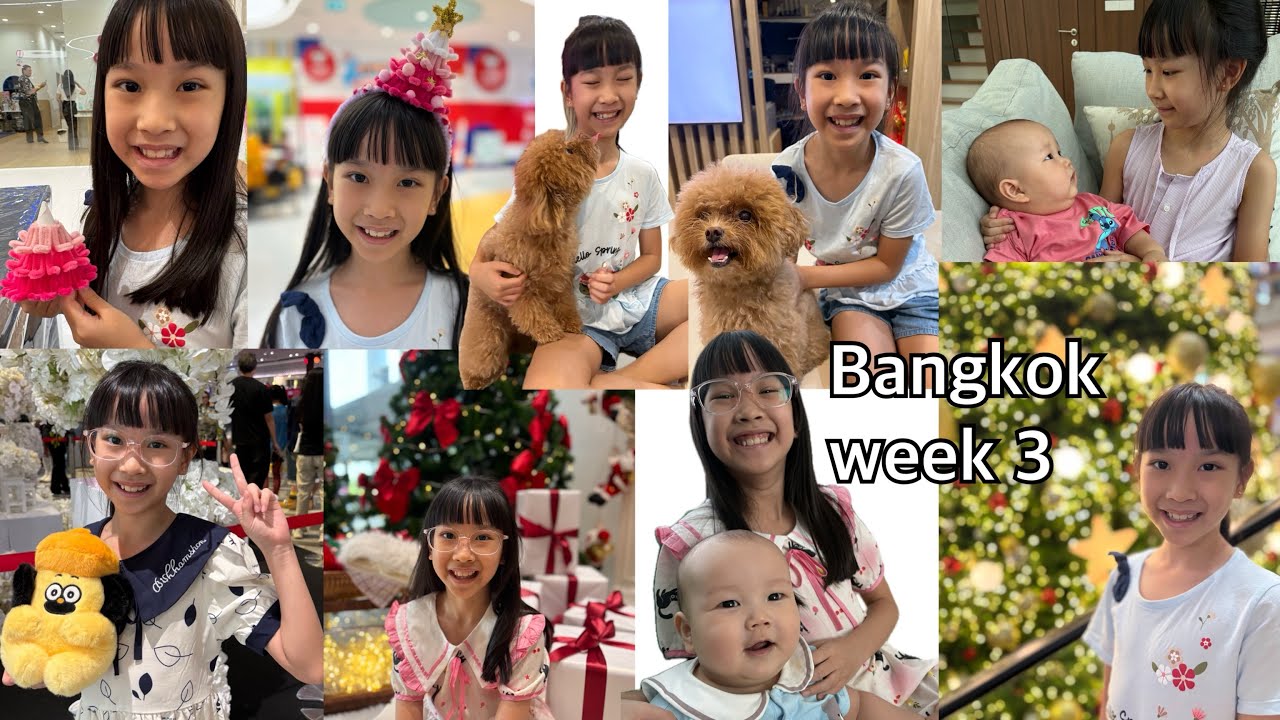 Ep408 Bangkok week 3 กินที่อยากกินให้หายอยาก ทำกิจกรรมสนุกๆ เล่นกับเจ้าหมาน้อย ช่วยเลี้ยงน้อง