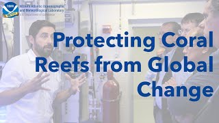Protecting Coral Reefs from Global Change
