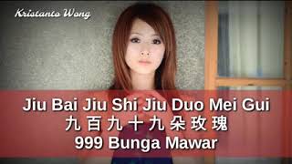 Jiu Bai Jiu Shi Jiu Duo Mei Gui - 九百九十九朵玫瑰 - 楊竹青 Y