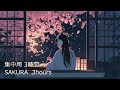 Sakura Cosmic Focus Music (3 Hours) | Japanese Koto &amp; Spring Ambient | Beatless | No Vocals | #2