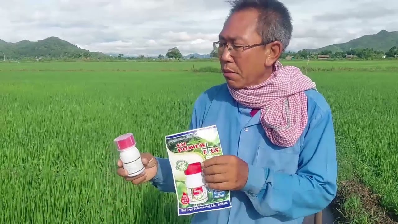 sai power + farmer review