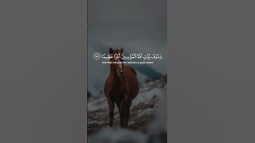 القرآن الكريم نور وهداية🕋🕋💚💚👑👑🌞🌞🌛🌛☀️☀️