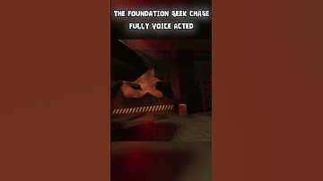 The Foundation Seek Chase but it