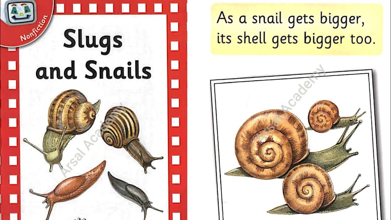 Slugs and Snails by Jolly Phonics Jolly Phonics Readers for grade 1