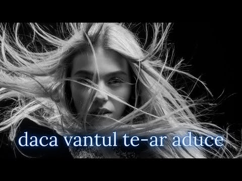 Dacă Vântul Te Ar Aduce Baladă Emoționantă Despre Dor și Iubire