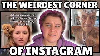 THINGS ARE GETTING WEIRD ON INSTAGRAM | PART 1